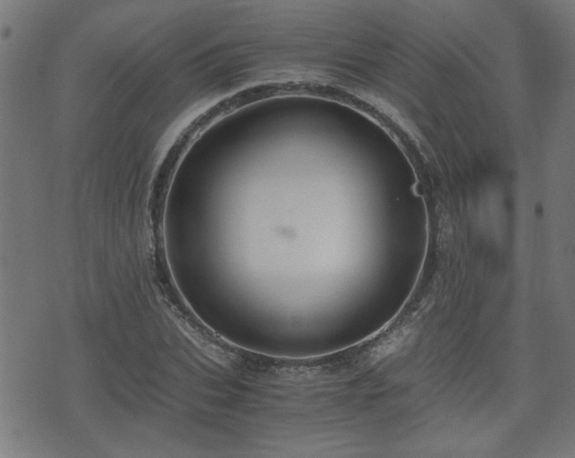 X0000071380927200606261409