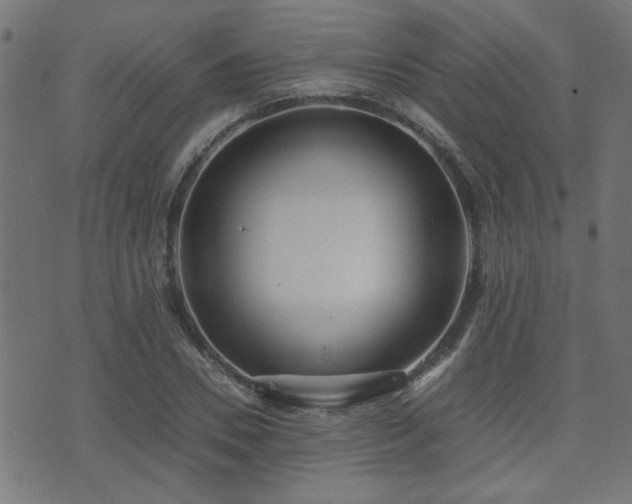 X0000071380930200606261410