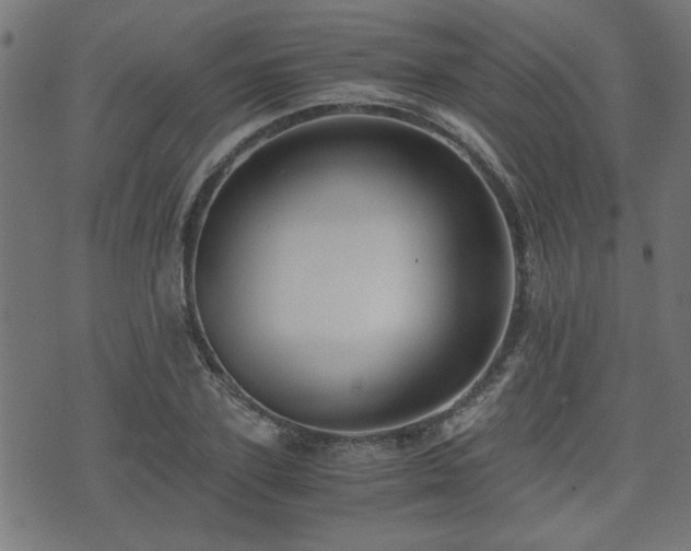 X0000071380931200606261410