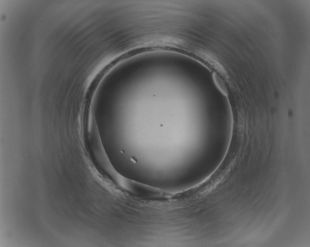 X0000071380936200606261410