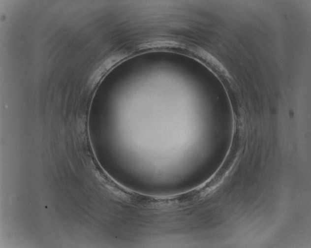 X0000071380937200606261410