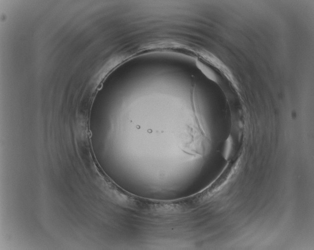 X0000071380945200606261410