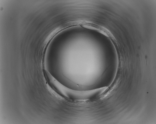 X0000071380946200606261410