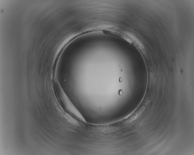 X0000071380948200606261410