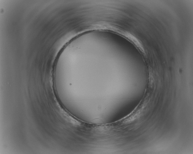 X0000071380950200606261410