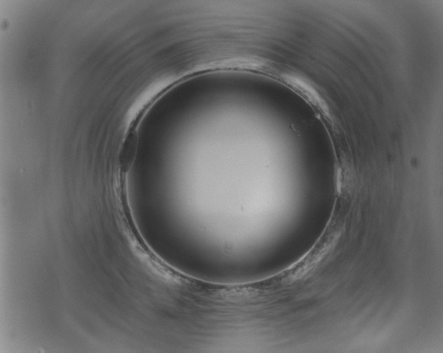 X0000071380952200606261410