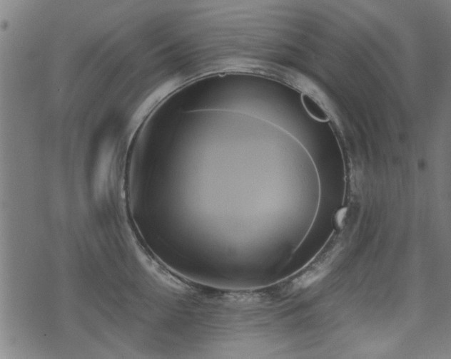 X0000071380954200606261410