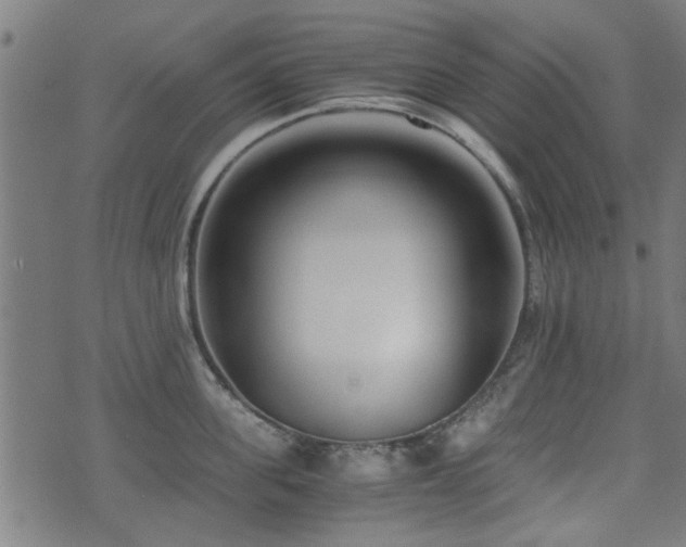 X0000071380955200606261410