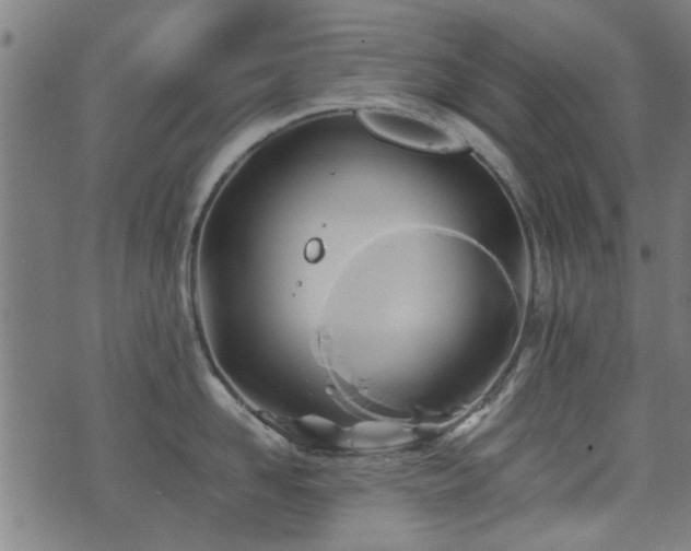 X0000071380958200606261410