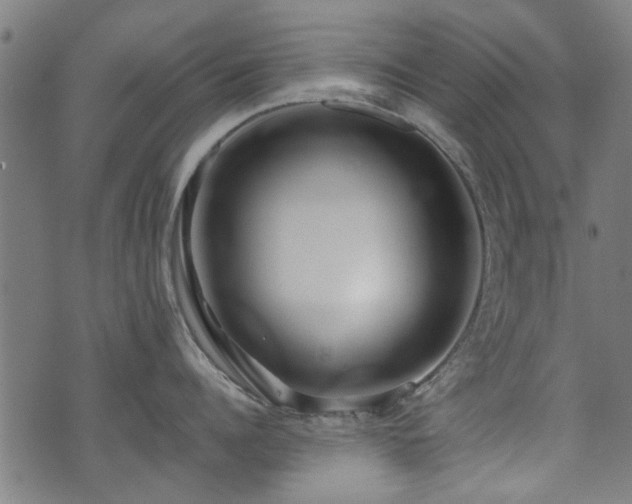 X0000071380960200606261410