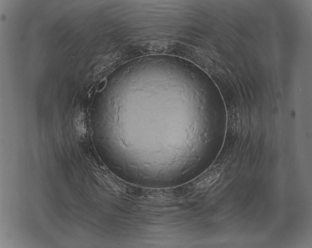 X0000071380962200606261409
