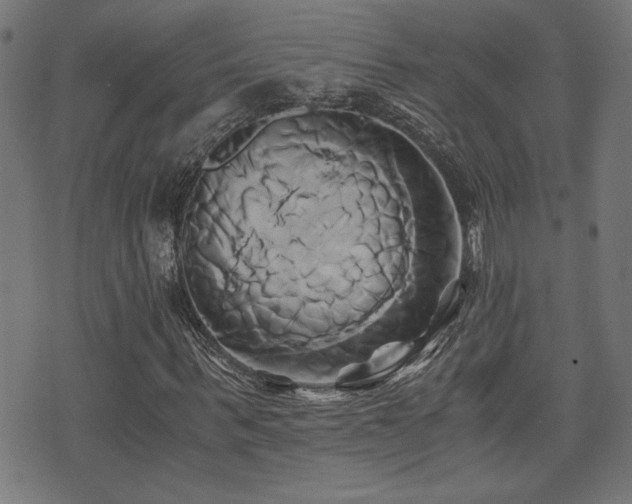 X0000071380963200606261409