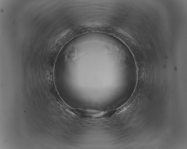 X0000071380966200606261409