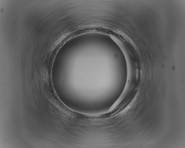 X0000071380969200606261409