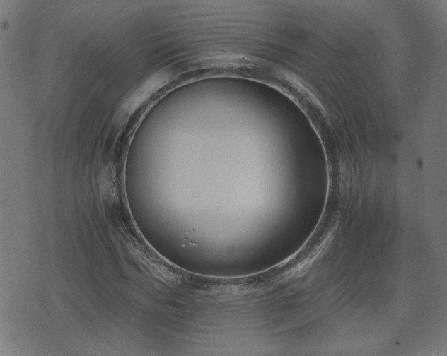 X0000071380970200606261409