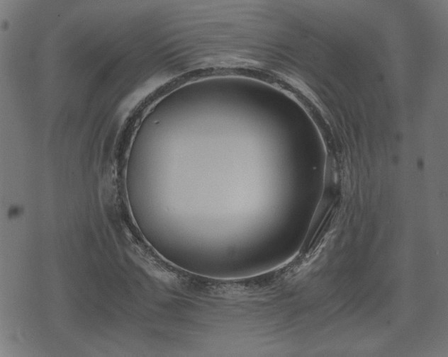 X0000071380971200606261409