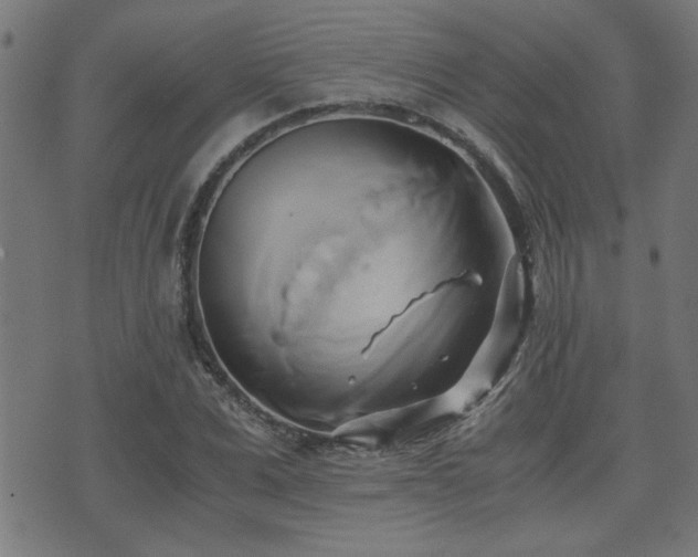 X0000071380975200606261409