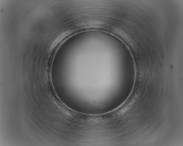 X0000071380978200606261409