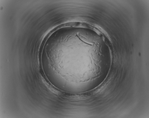 X0000071380980200606261409