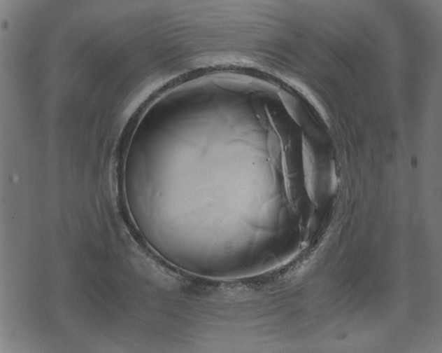 X0000071380983200606261409