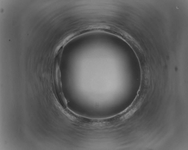 X0000071380985200606261409