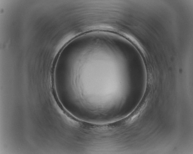 X0000071380999200606261409