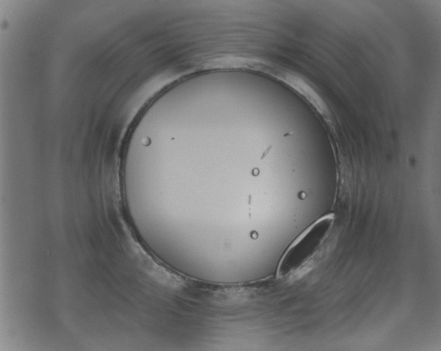 X0000071381000200606261409