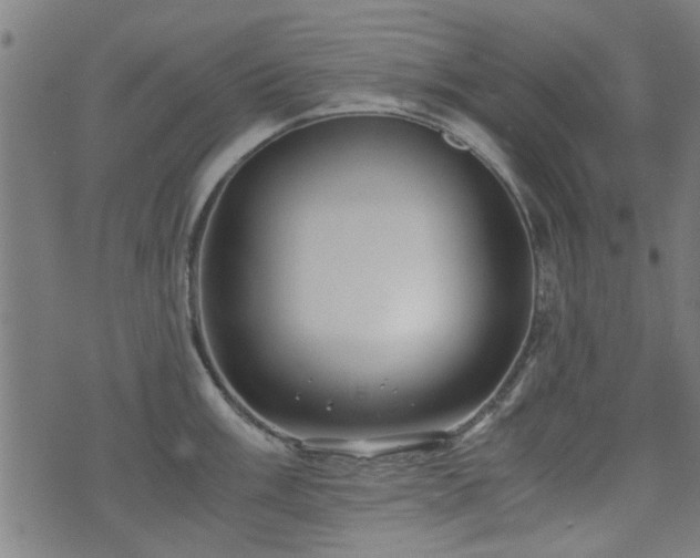 X0000071381003200606261409