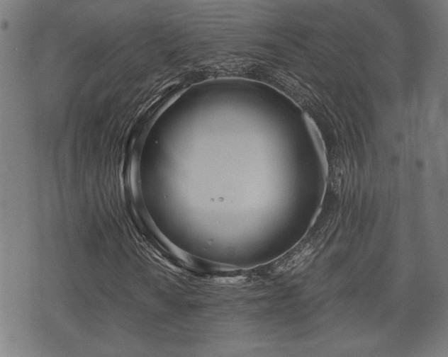 X0000071381010200606261408