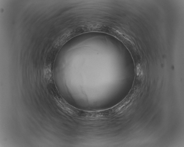 X0000071381011200606261408
