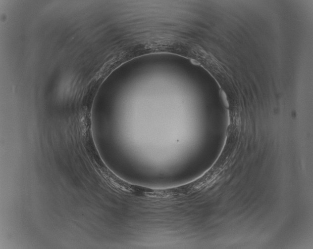 X0000071381012200606261408
