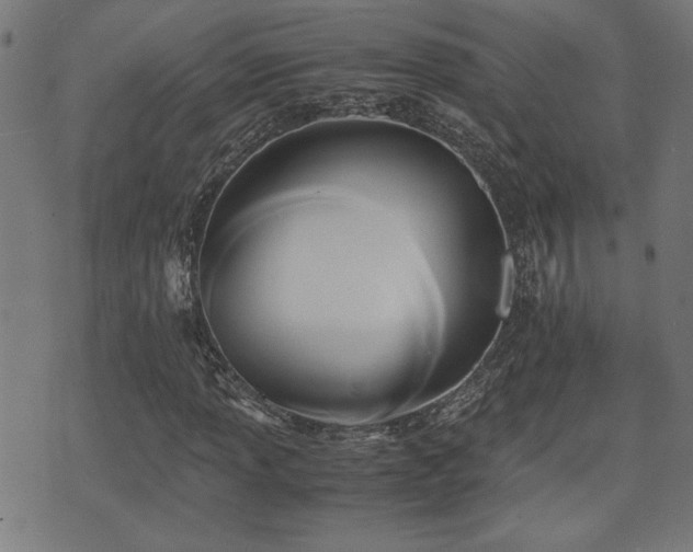 X0000071381013200606261408