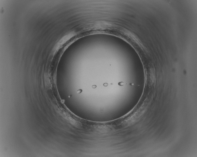 X0000071381018200606261408