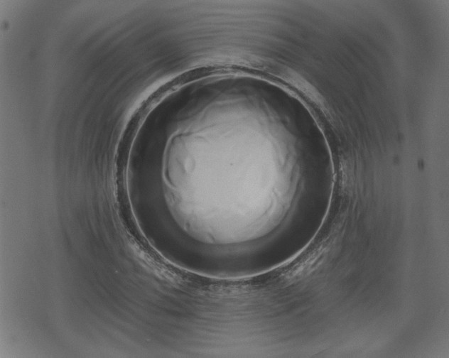 X0000071381020200606261408