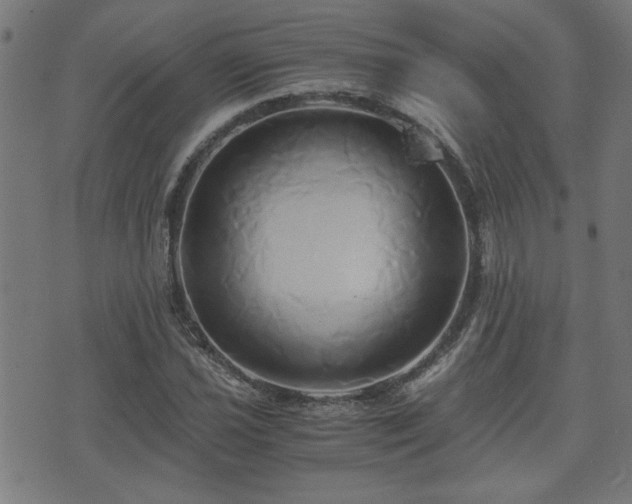 X0000071381021200606261408