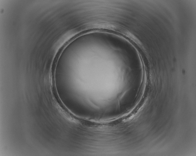 X0000071381028200606261408