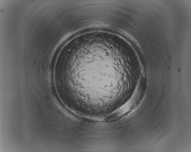 X0000071381029200606261408