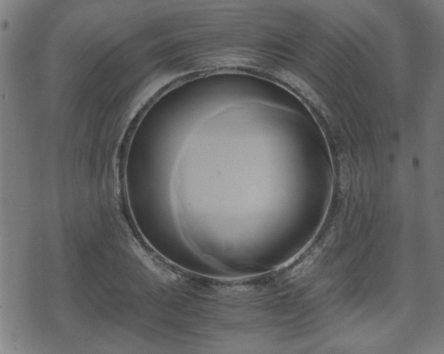 X0000071381031200606261408