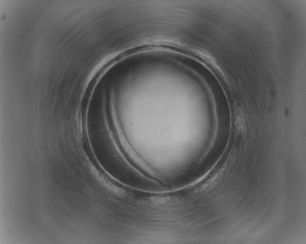 X0000071381032200606261408