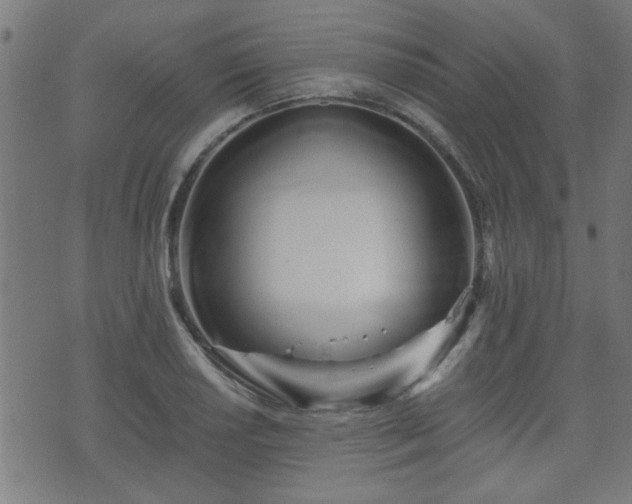 X0000071381034200606261408