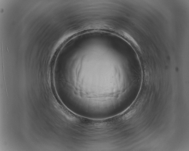 X0000071381035200606261408