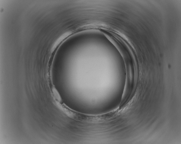 X0000071381042200606261408