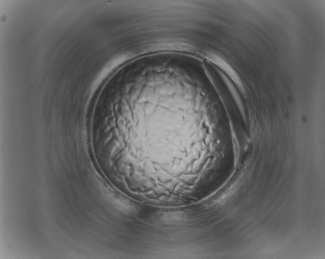 X0000071381043200606261408