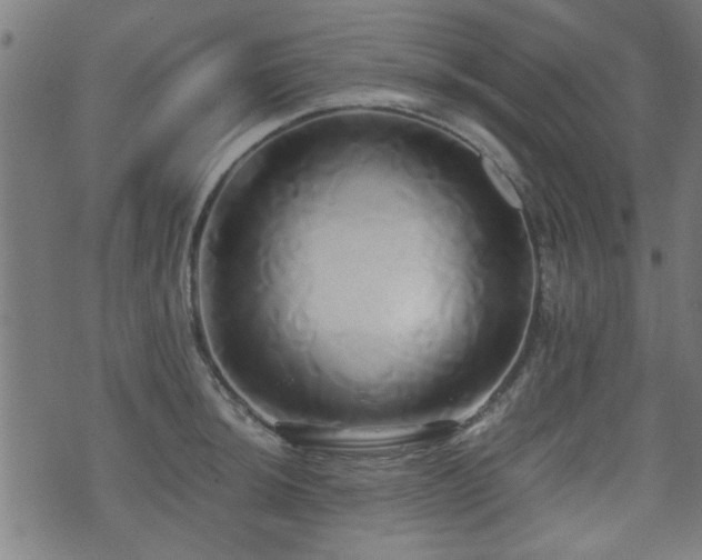 X0000071381044200606261408