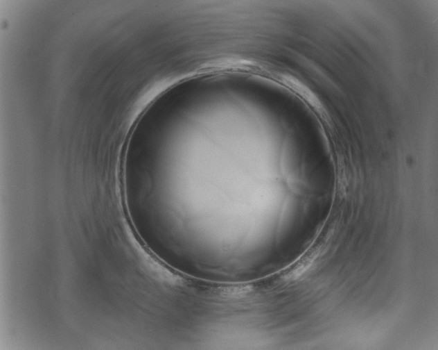 X0000071381055200606261408