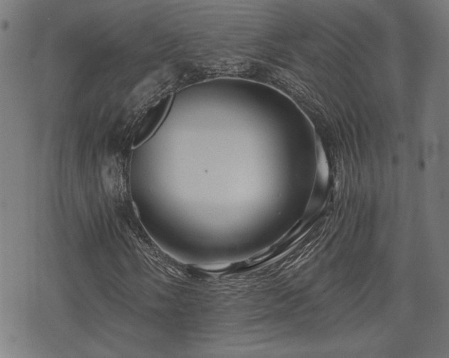 X0000071381058200606261408