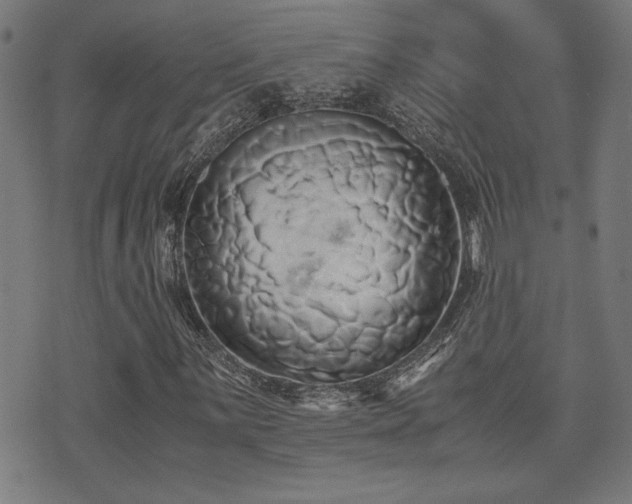 X0000071381059200606261408