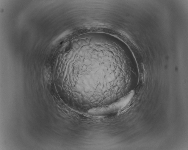 X0000071381063200606261408