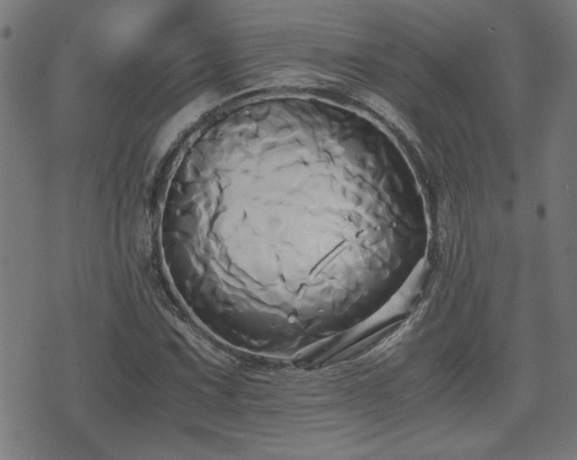 X0000071381067200606261408