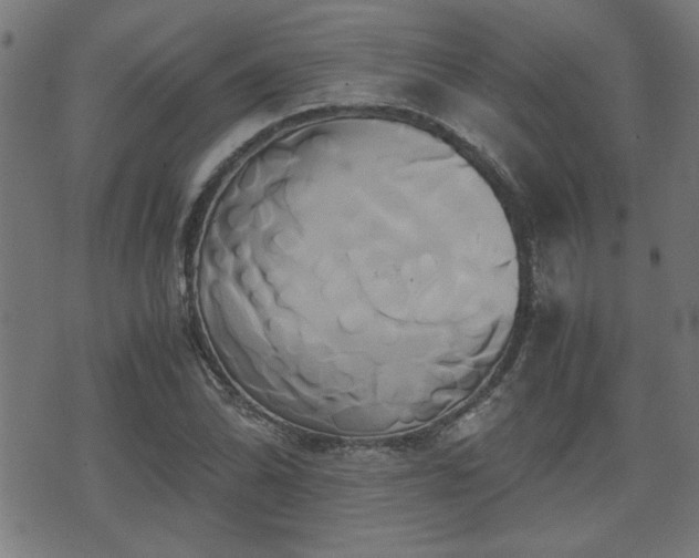 X0000071381070200606261407